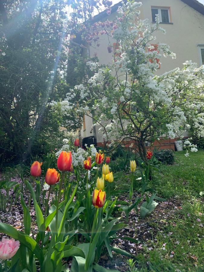 Apartament Blumenblick Rielasingen-Worblingen Екстериор снимка