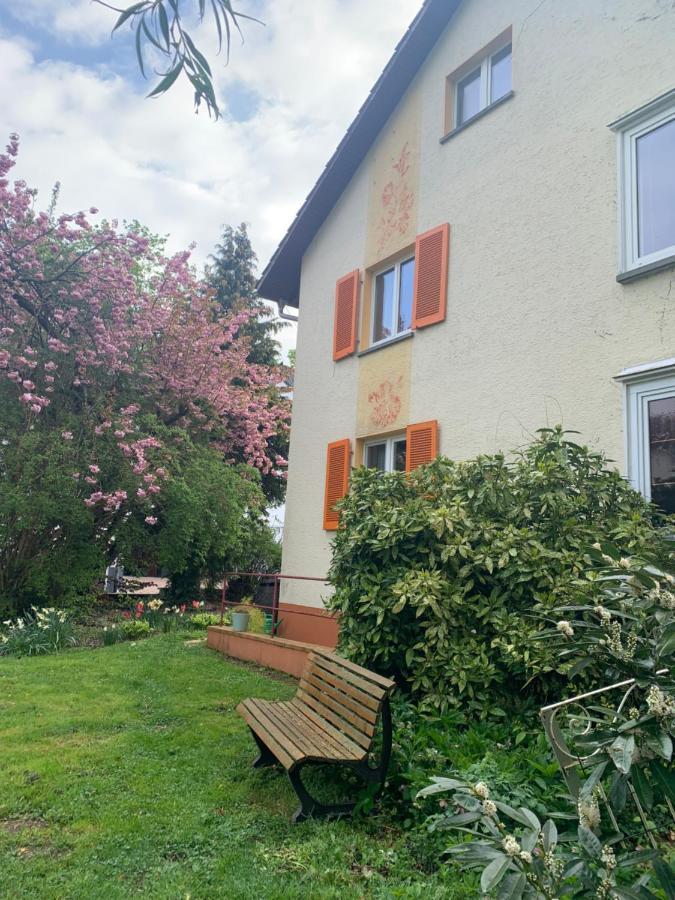 Apartament Blumenblick Rielasingen-Worblingen Екстериор снимка