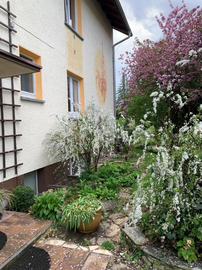 Apartament Blumenblick Rielasingen-Worblingen Екстериор снимка