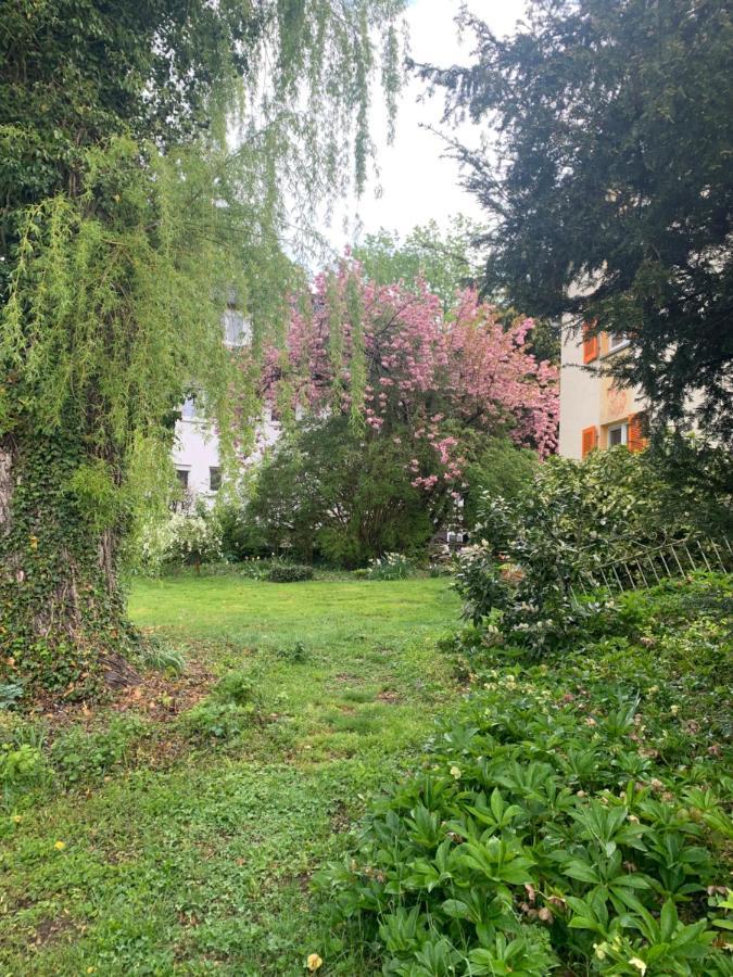 Apartament Blumenblick Rielasingen-Worblingen Екстериор снимка